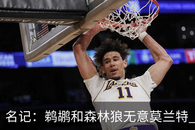 名记：鹈鹕&森林狼无意莫兰特 热火也不急于尝试其与字母哥的搭档