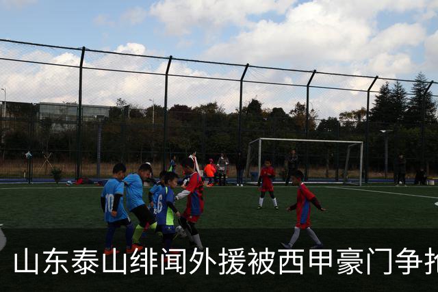 山东泰山绯闻外援被西甲豪门争抢，夏窗换外援的希望又落空